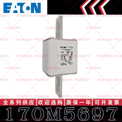 170M系列巴斯曼快速熔断器 170M5697 170M5698 170M5699 170M5700