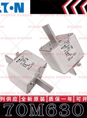 BUSSMANN巴斯曼快速熔断器 170M6301 170M6302 170M6303 170M6304