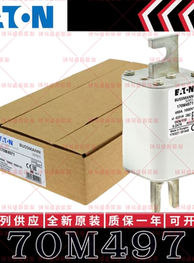 170M系列巴斯曼快速熔断器 170M4969 170M4970 170M4971 170M4972