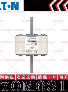 170M系列巴斯曼快速熔断器 170M6315 170M6316 170M6317 170M6318