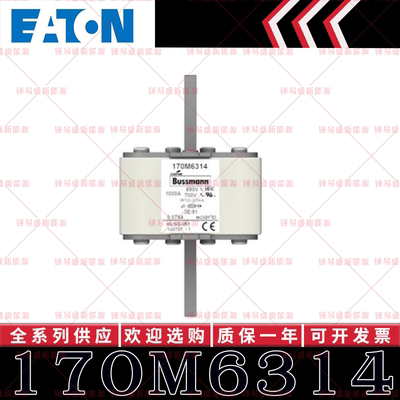 170M系列巴斯曼快速熔断器 170M6315 170M6316 170M6317 170M6318