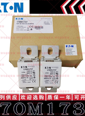170M1737 125A 750V 800V 现货巴斯曼 BUSSMANN快速熔断器 保险丝