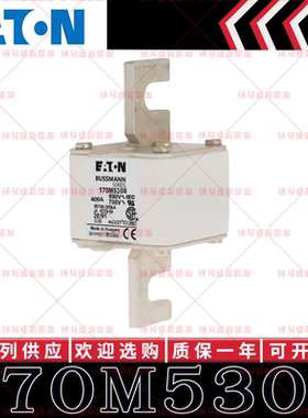 170M系列巴斯曼快速熔断器 170M5308 170M5309 170M5310 170M5311