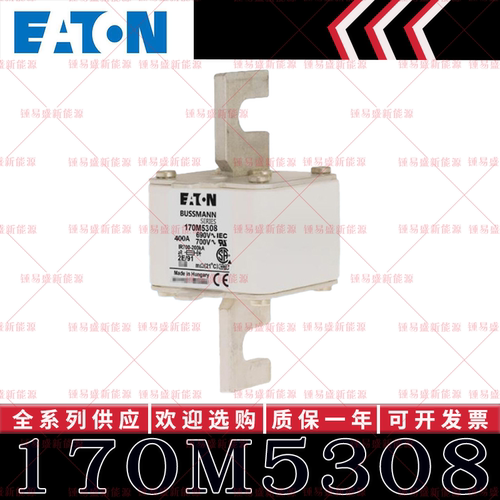 170M系列巴斯曼快速熔断器 170M5308 170M5309 170M5310 170M5311
