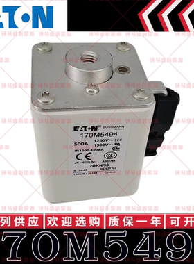 170M系列巴斯曼快速熔断器 170M5494 170M5495 170M5496 170M5497