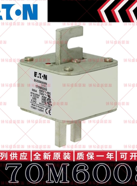 170M系列巴斯曼快速熔断器 170M6008 170M6009 170M6010 170M6011