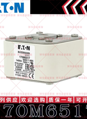 170M系列巴斯曼快速熔断器 170M6518 170M6519 170M6520 170M6521