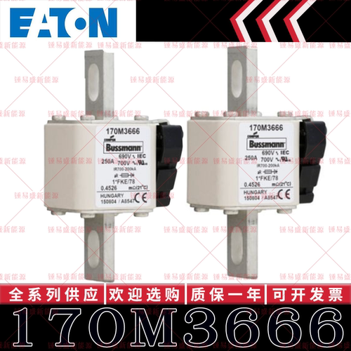 170M系列巴斯曼快速熔断器 170M3666 170M3667 170M3668 170M3669
