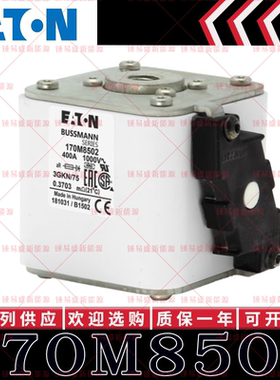 170M系列巴斯曼快速熔断器 170M8500 170M8501 170M8502 170M8503