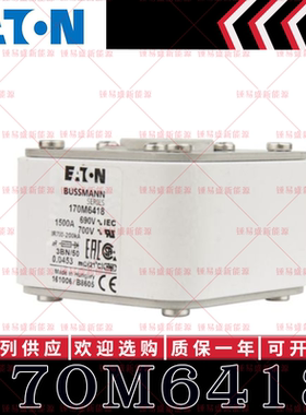 170M系列巴斯曼快速熔断器 170M6418 170M6419 170M6420 170M6421