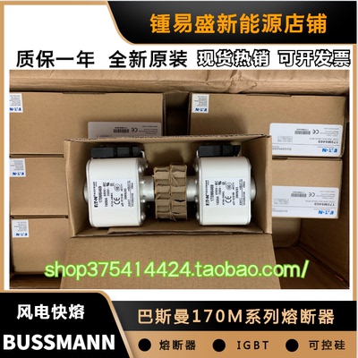 美国BUSSMANN低压熔断器170M6468 170M6469 170M6470 170M6471