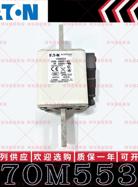 170M系列巴斯曼快速熔断器 170M5535 170M5536 170M5537 170M5538