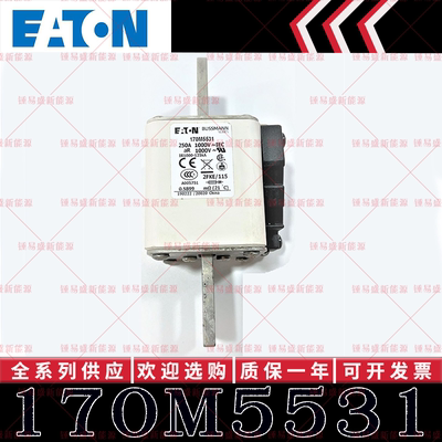 170M系列巴斯曼快速熔断器 170M5537 170M5538 170M5539 170M5540