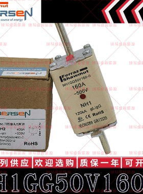 现货罗兰ferraz shawmut熔断器 NH1GG50V160-0 160A 500V 保险管