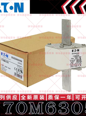 BUSSMANN巴斯曼快速熔断器 170M6304 170M6305 170M6306 170M6307