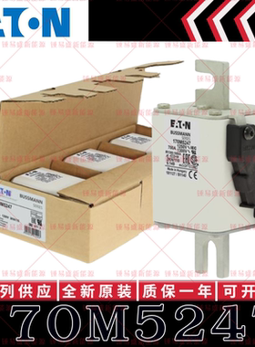 170M系列巴斯曼快速熔断器 170M5247 170M5248 170M5249 170M5250