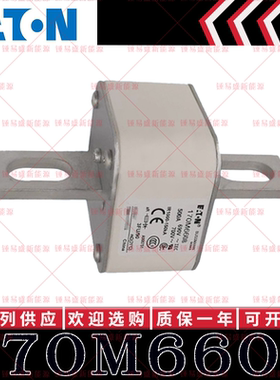 170M系列巴斯曼快速熔断器 170M6608 170M6609 170M6610 170M6611