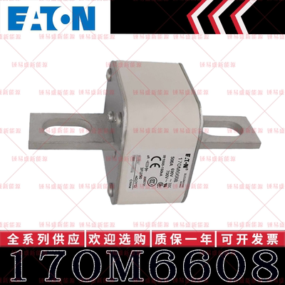 170M系列巴斯曼快速熔断器 170M6608 170M6609 170M6610 170M6611