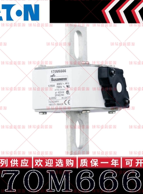 170M系列巴斯曼快速熔断器 170M6666 170M6667 170M6668 170M6669