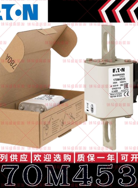 170M系列巴斯曼快速熔断器 170M4535 170M4536 170M4537 170M4538