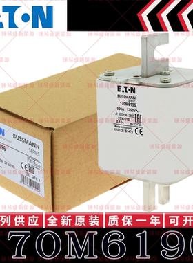 170M系列巴斯曼快速熔断器 170M6192 170M6193 170M6194 170M6195