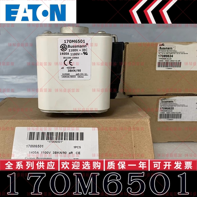170M系列巴斯曼快速熔断器 170M6498 170M6499 170M6500 170M6501