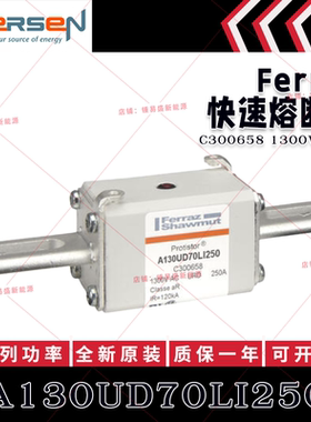 罗兰美尔森熔断器 A130UD70LI250 C300658 A130UD70LI280 Q300716