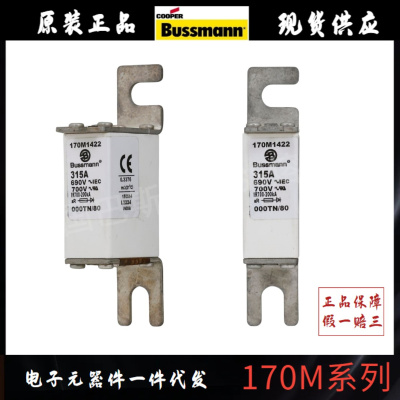 伊顿BUSSMANN巴斯曼快速熔断器 170M1422 / 6081 / 6462 / 6205