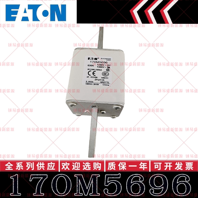 170M系列巴斯曼快速熔断器 170M5696 170M5697 170M5698 170M5699