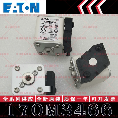 170M系列巴斯曼快速熔断器 170M3466 170M3467 170M3468 170M3469