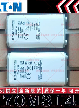 170M系列巴斯曼快速熔断器 170M3138 170M3139 170M3140 170M3141