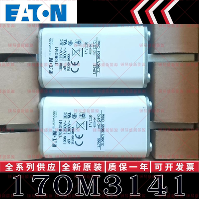 170M系列巴斯曼快速熔断器 170M3138 170M3139 170M3140 170M3141