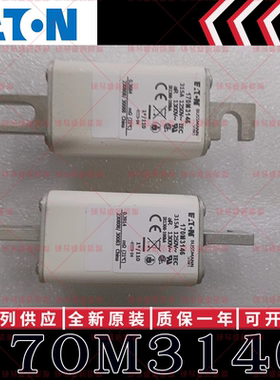 170M系列巴斯曼快速熔断器 170M3145 170M3146 170M3147 170M3148