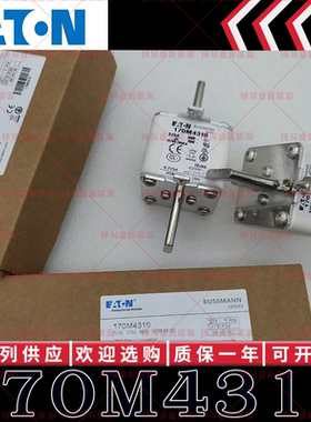 170M系列巴斯曼快速熔断器 170M4308 170M4309 170M4310 170M4311