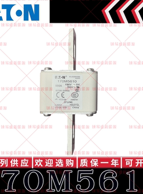 170M系列巴斯曼快速熔断器 170M5608 170M5609 170M5610 170M5611