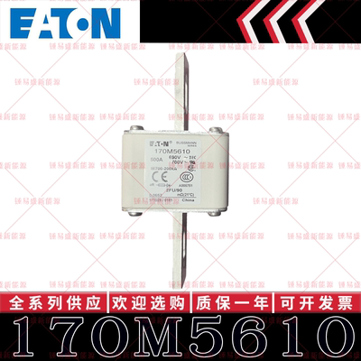 170M系列巴斯曼快速熔断器 170M5608 170M5609 170M5610 170M5611