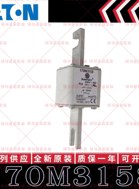 BUSSMANN巴斯曼快速熔断器 170M3158 170M3159 170M3160 170M3161