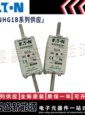 80NHG1B 100NHG1B 现货巴斯曼BUSSMANN熔断器保险丝量大从优