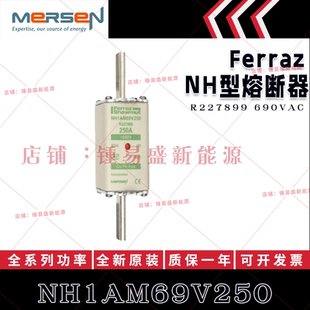 法国ferraz shawmut熔断器 NH1AM69V16/V20/V25/V32/V35/V40/V50