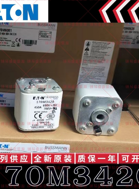 170M系列巴斯曼快速熔断器 170M3420 170M3421 170M3422 170M3423