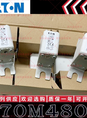170M4802 20A 1000V 现货 全新巴斯曼BUSSMANN快速熔断器 保险丝