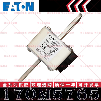 170M系列巴斯曼快速熔断器 170M5765 170M5766 170M5767 170M5768