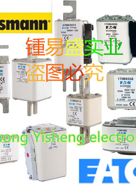 EATOU低压熔断器170E8345 170E8346 170E8347 170E9685全新原装