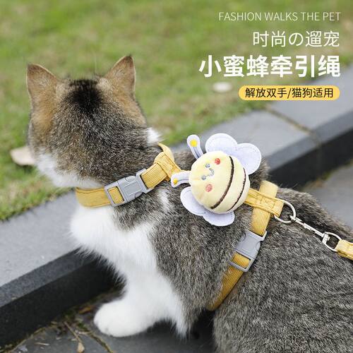 猫咪牵引绳防挣脱宠物兔子背心遛猫专用溜小猫链子猫绳子外出专用