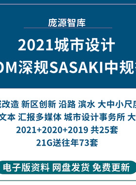 国内外城市设计控规方案导则SOM新文本SASAKI汇报PPT深规院AECOM