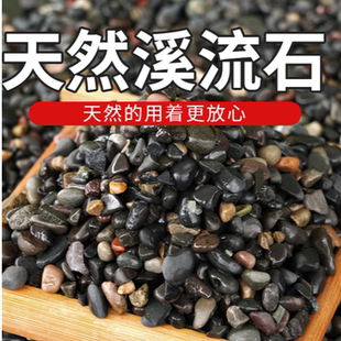天然溪流石鱼缸造景圆粒铺底砂水族装饰生态溪砂船长花园颗粒石