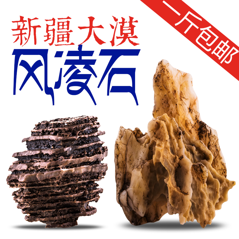 风凌石 奇石 戈壁原石附石菖蒲假山盆景园艺盆栽微景观摆件配石头