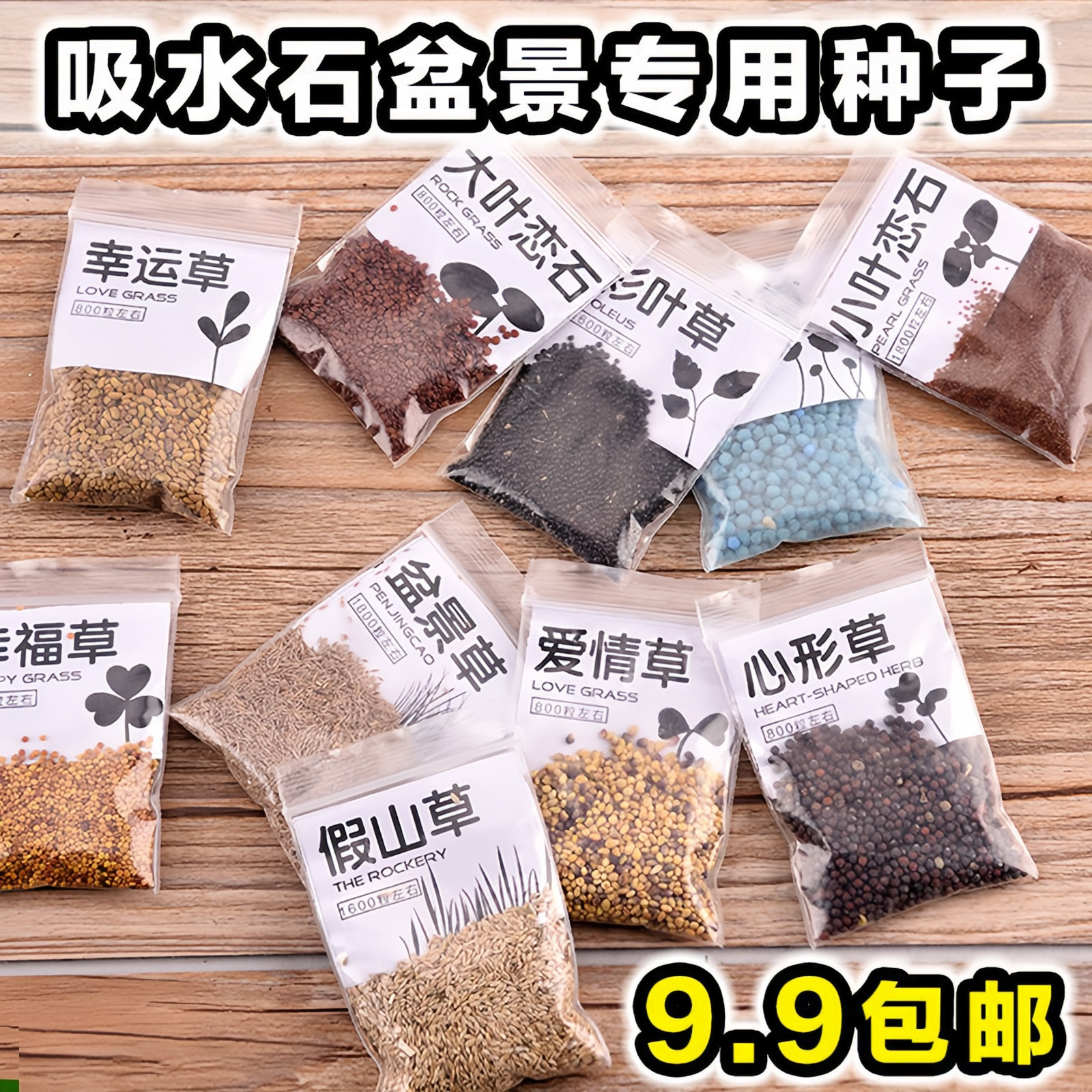 上水石吸水石假山草籽盆景微景观盆栽草籽植物珍珠草碗莲苔藓粉