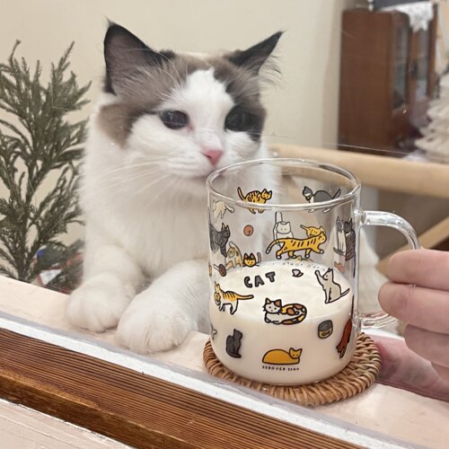 second耐热玻璃家用猫咪手工
