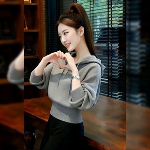 半拉链连帽毛衣上衣女秋冬设计感小众高级感修身长袖针织衫外套女